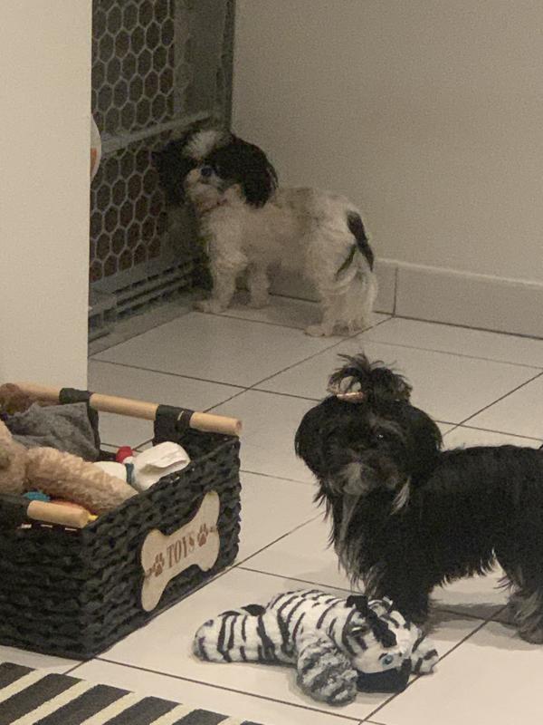 Photo - commentaire 2.