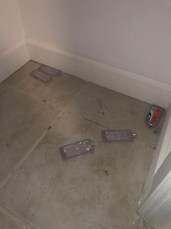 J’ai utilisé toute les piège