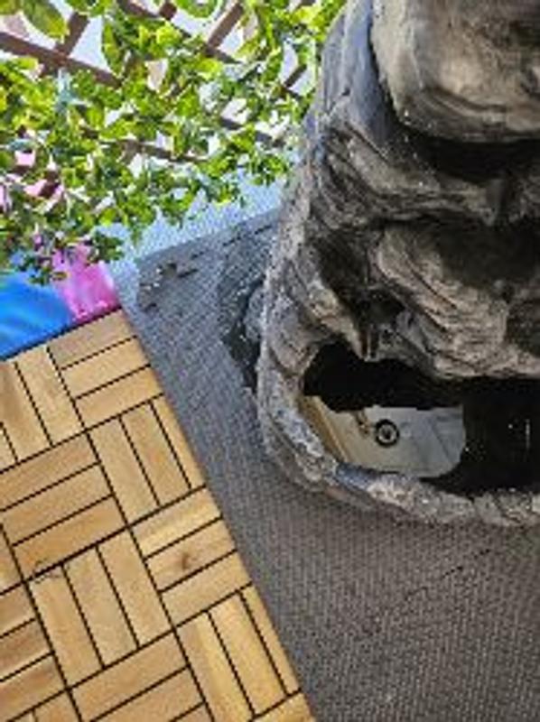 Photo - commentaire 8.