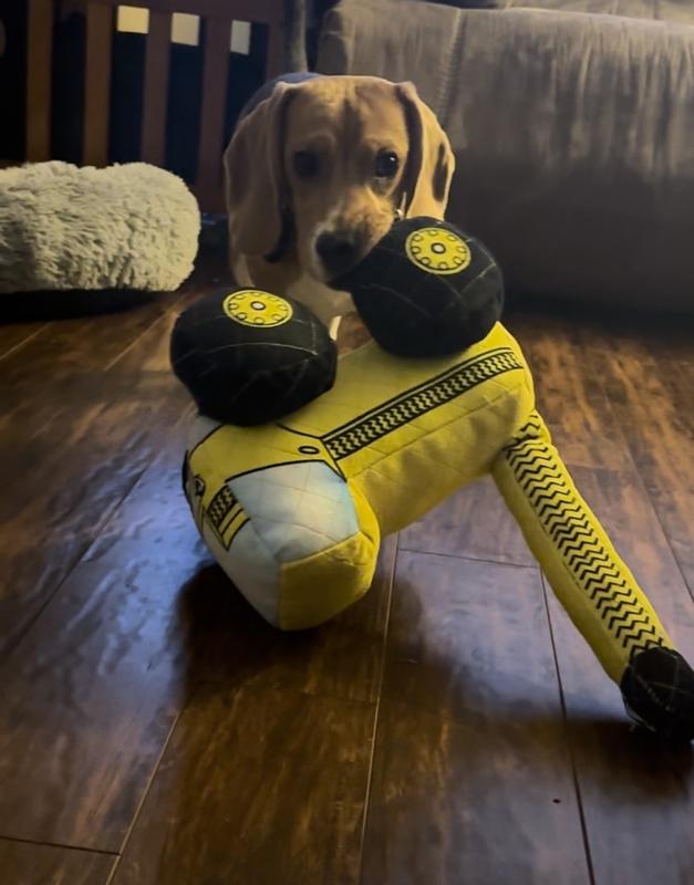 First day of having it, completely loved playing with it from the moment he got it.