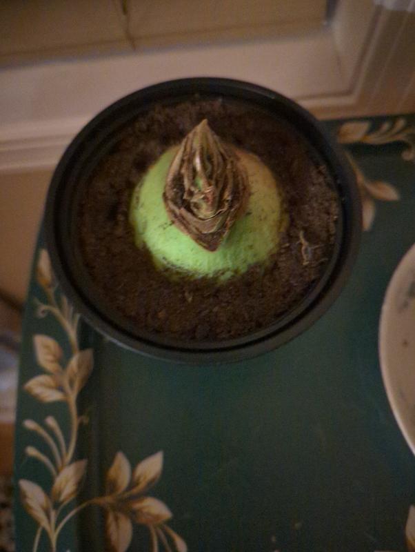 Photo - commentaire 2.