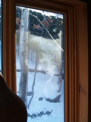 Foggy patches I get to look at all winter. Top part is shadowed.