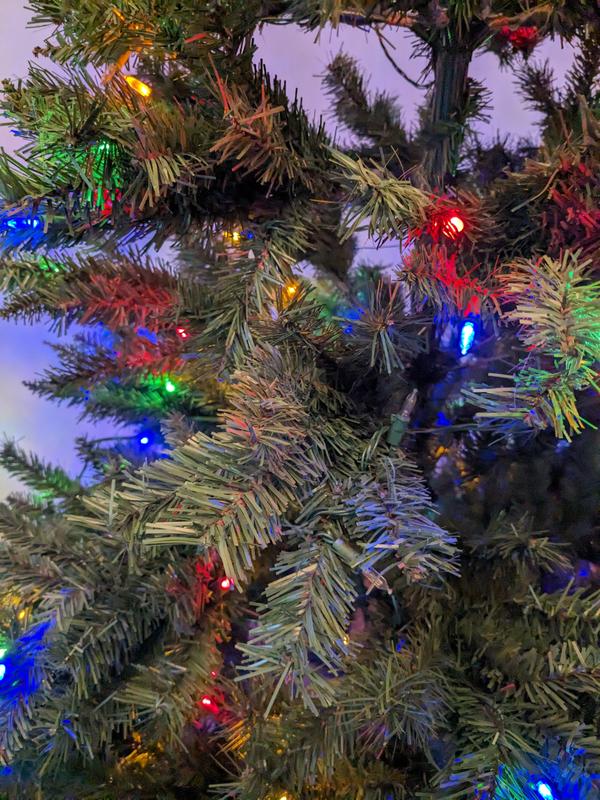 Photo - commentaire 5.