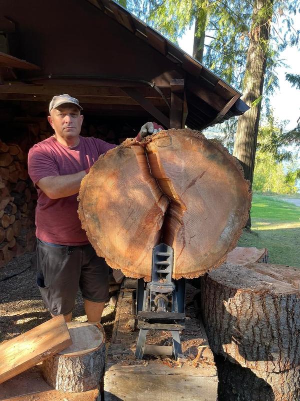 Douglas fir, if you can lift it, the splitter will split it