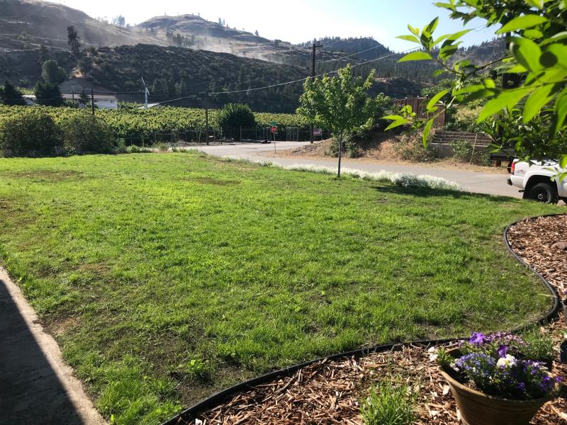 4.5 weeks after killing off the entire lawn and reseeding with Scott's Sun mix