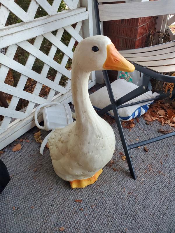 Photo - commentaire&nbsp;5.