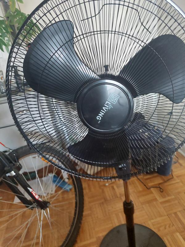 Photo - commentaire 8.