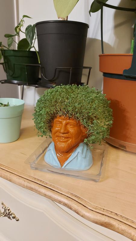 Bob ross chia pet bed bath and beyond hotsell