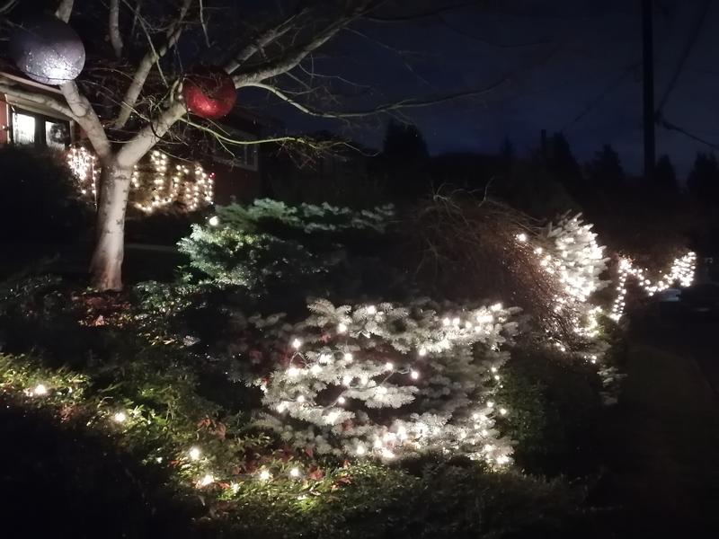 Placed on a tree outside