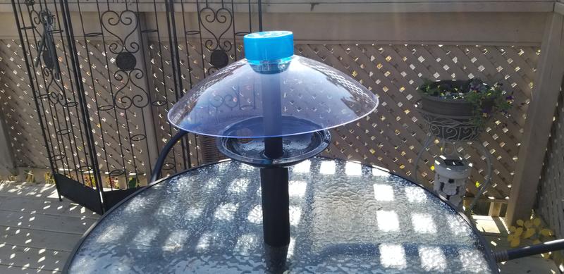 Photo - commentaire 3.