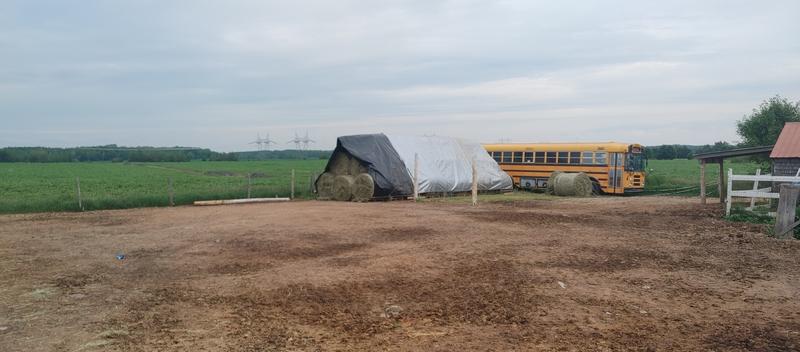 54 balles sous cette toile