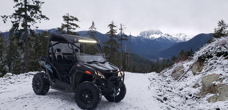 Put that new shine on your plastic and tires.