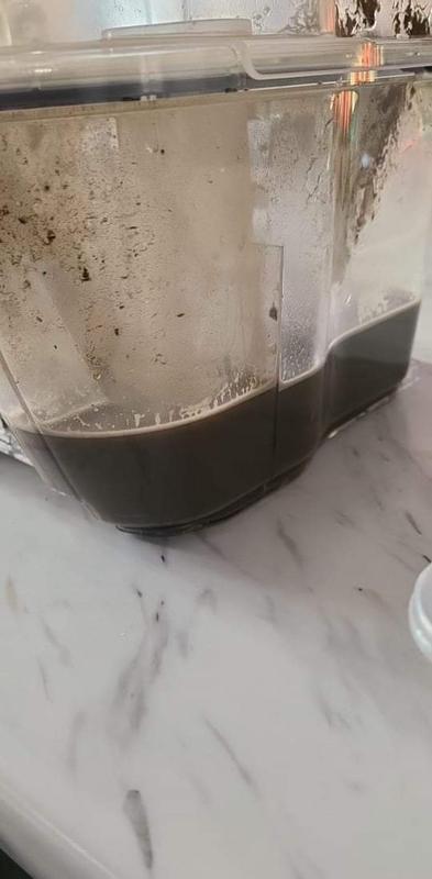 L'eau du tapis après 1 ans 1/2