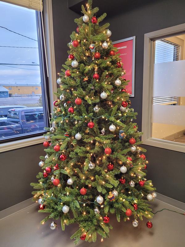 Photo - commentaire 2