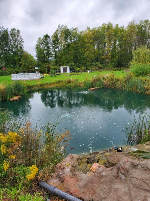 Photo - commentaire 4.