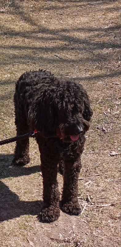 Photo - commentaire&nbsp;2.