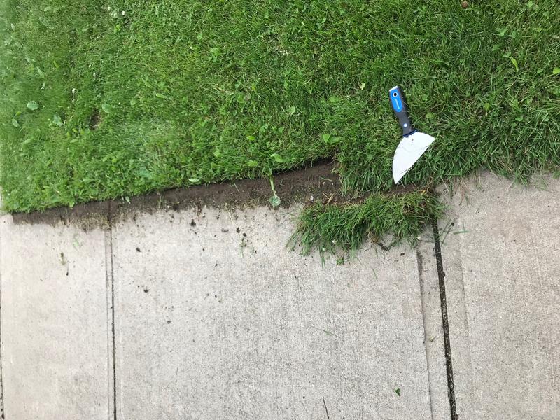 Photo - commentaire 2.