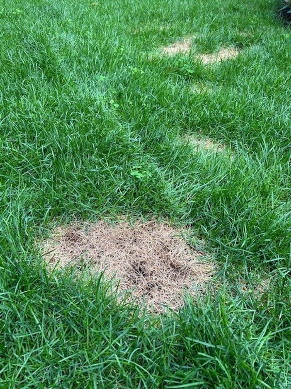 Photo - commentaire 5.