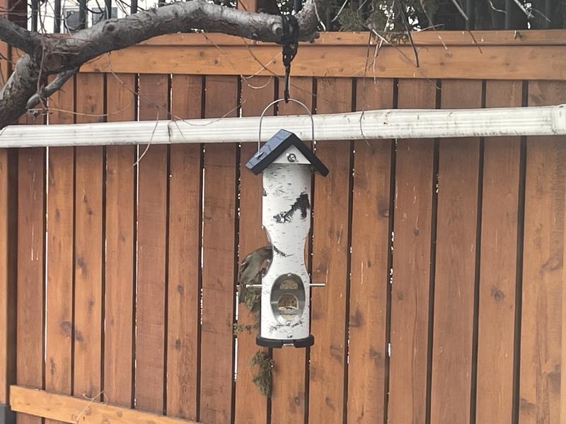 Photo - commentaire&nbsp;2.