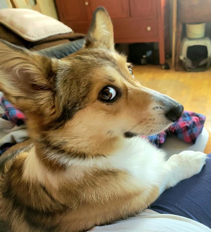 Photo - commentaire 1.