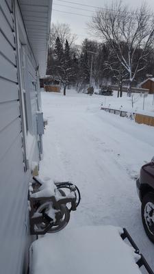 Snowblower handled the job like a champ!