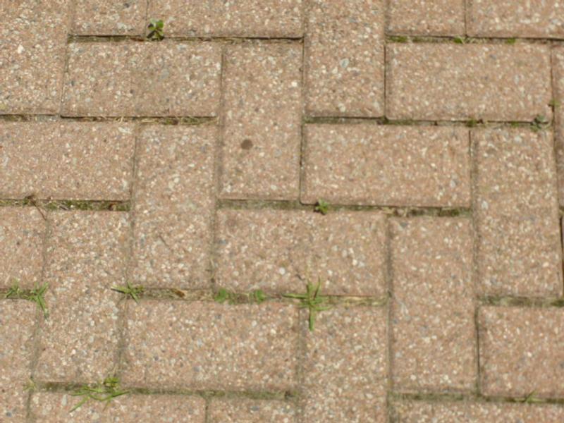 Weed control was not great.