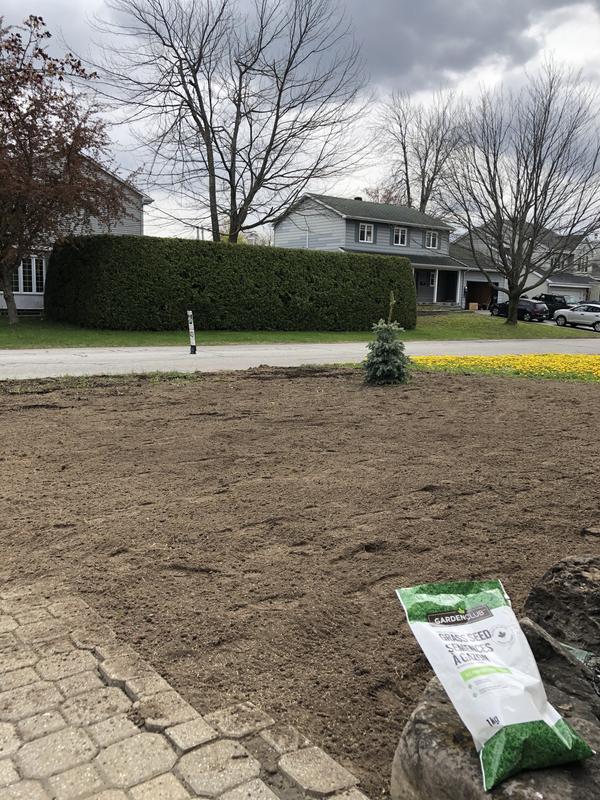 Photo - commentaire&nbsp;8.