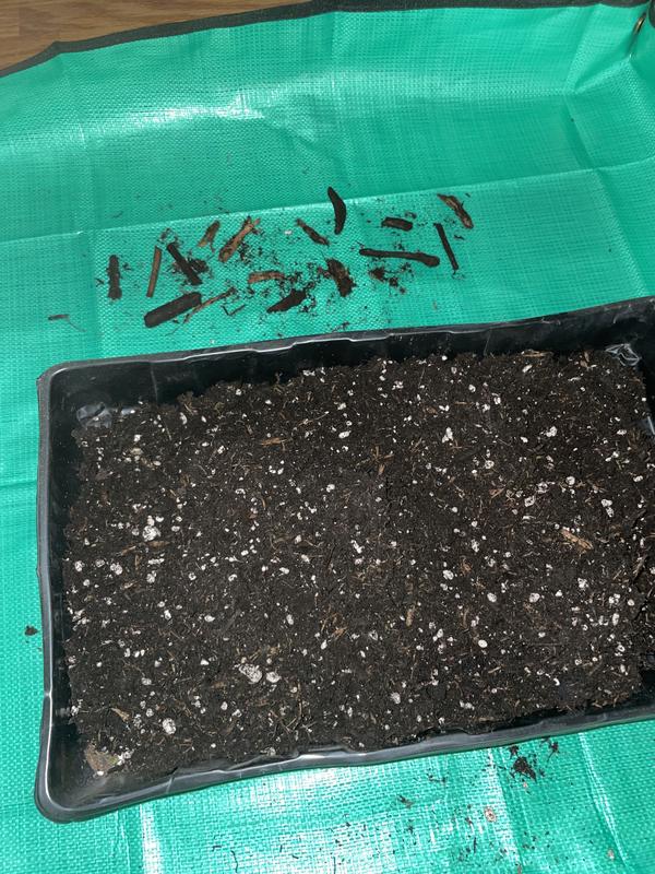 There were more sticks, but I stopped to write this review.