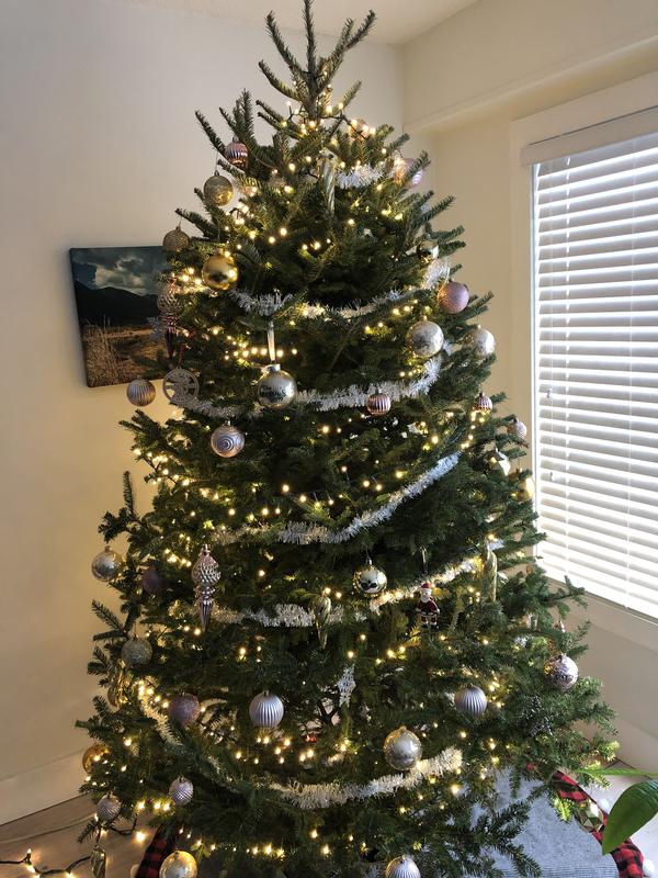 Photo - commentaire 1.