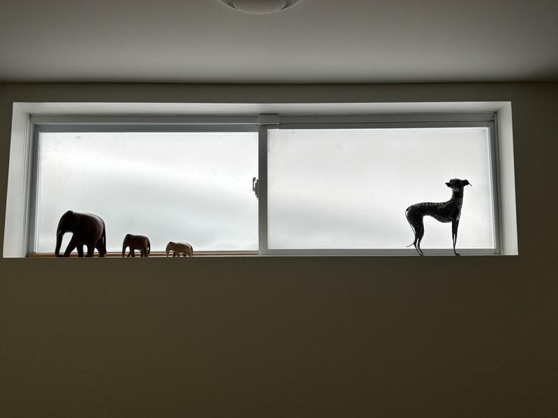 Photo - commentaire 1.