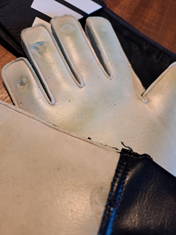 Photo - commentaire 4.