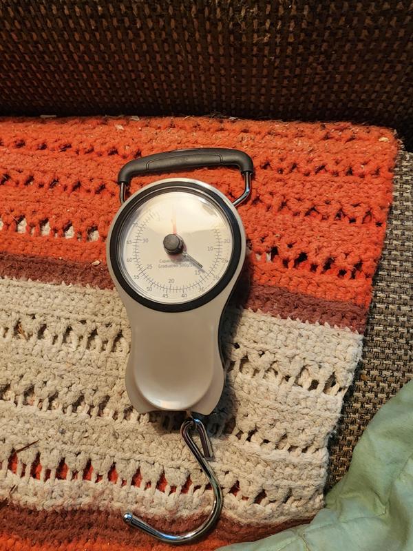 Photo - commentaire 2.