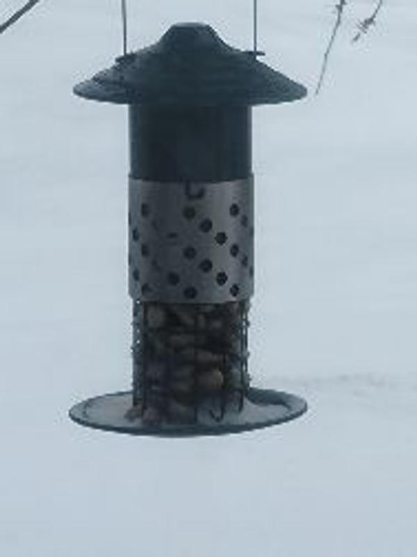 Photo - commentaire 1.