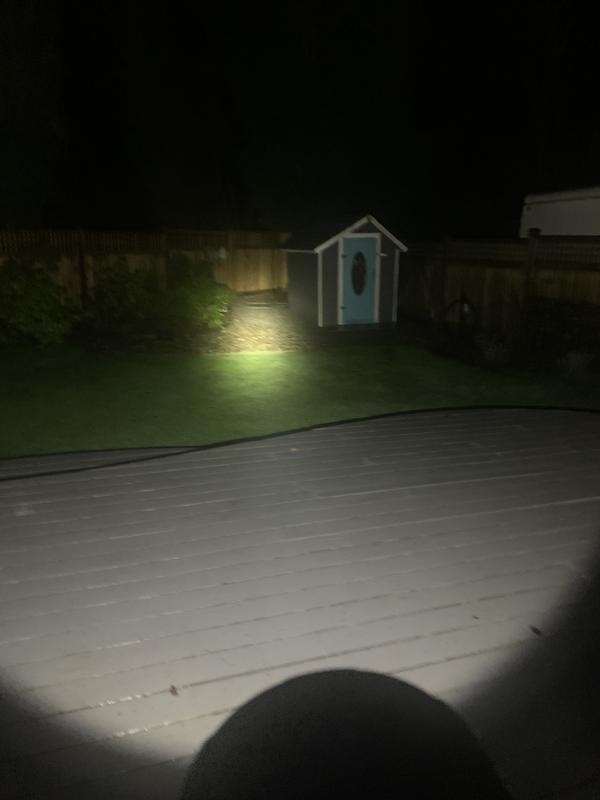 Backyard with the MAX spotlight