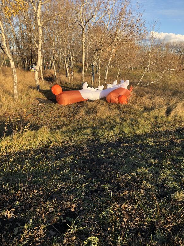 Photo - commentaire 5.