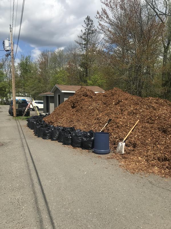 Photo - commentaire 2.