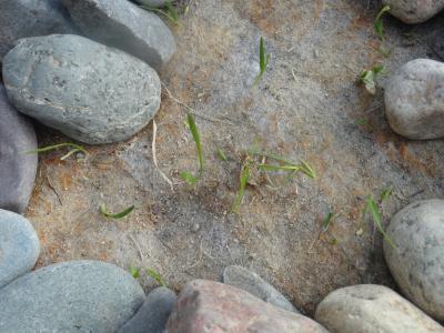 Photo - commentaire 8.