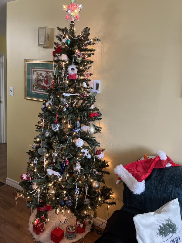 Photo - commentaire&nbsp;6.