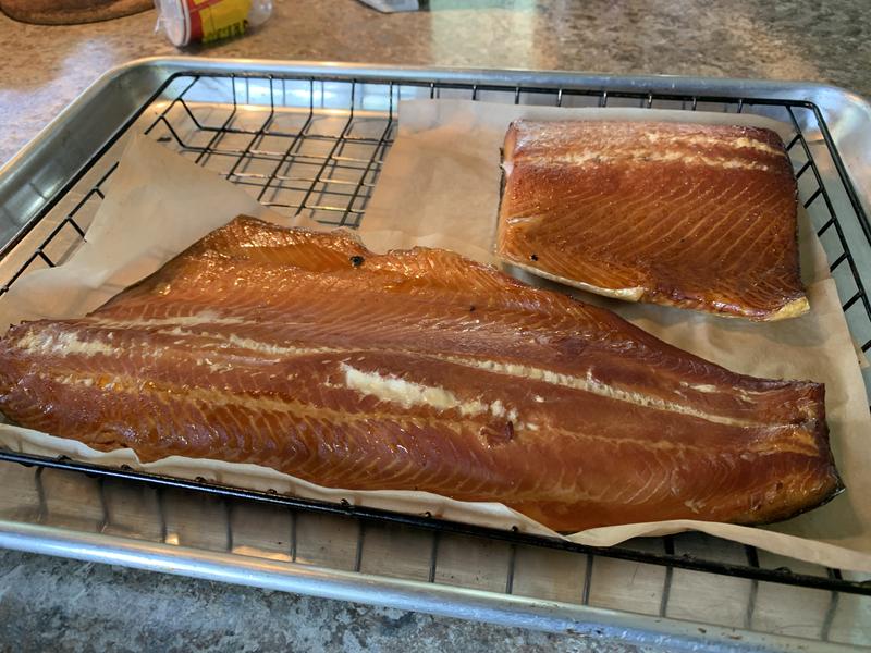 Steelhead Trout