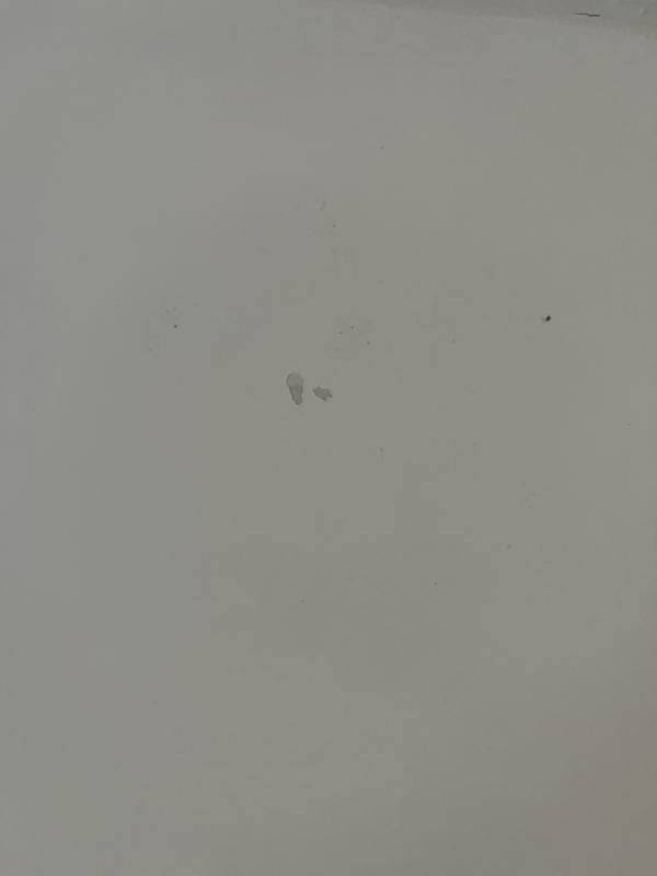 Photo - commentaire 5