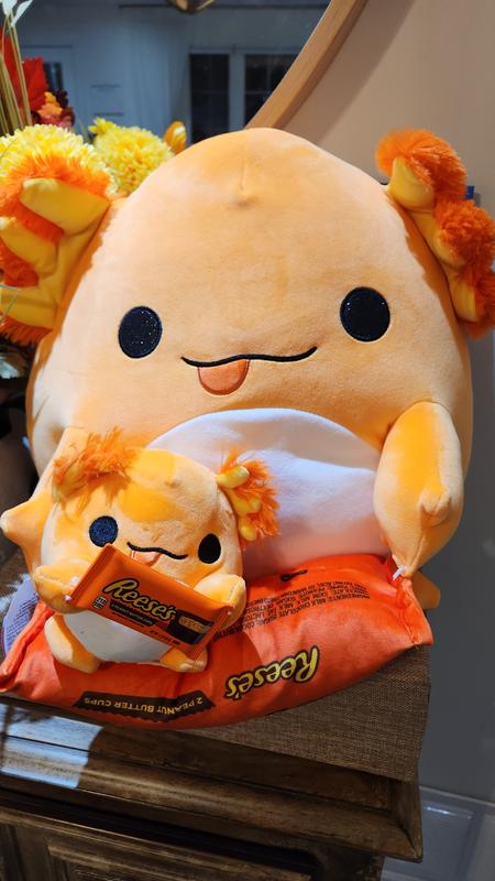 Photo - commentaire&nbsp;3.