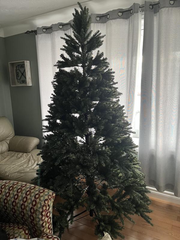 Photo - commentaire 8.