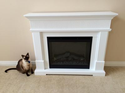 *cat not included :)