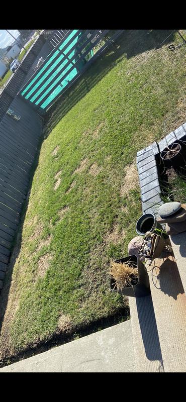 Photo - commentaire 7.