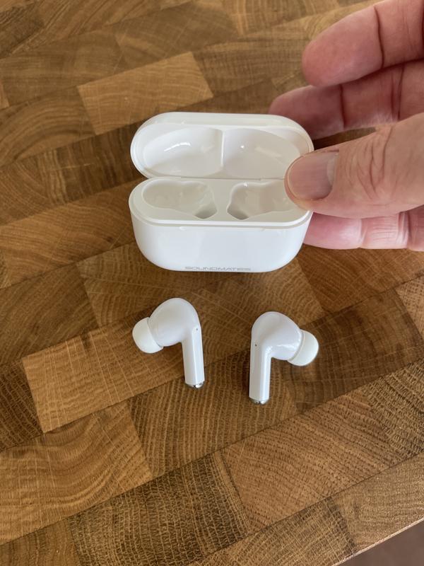 Buds and the charging / holding case