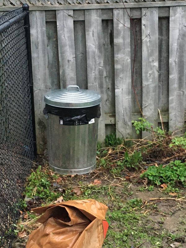 Photo - commentaire 3.