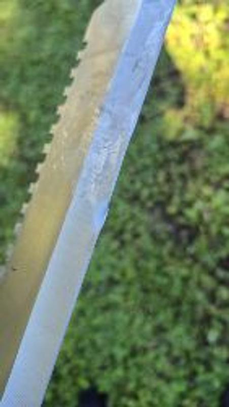 Photo - commentaire 1.