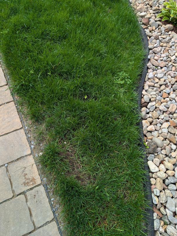 Review photo 2.