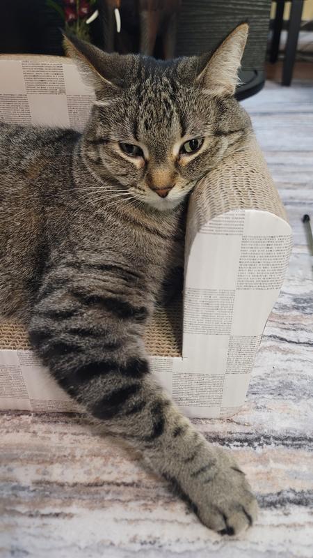 Photo - commentaire&nbsp;3.