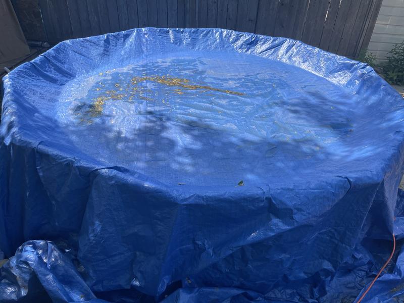 Photo - commentaire&nbsp;5.